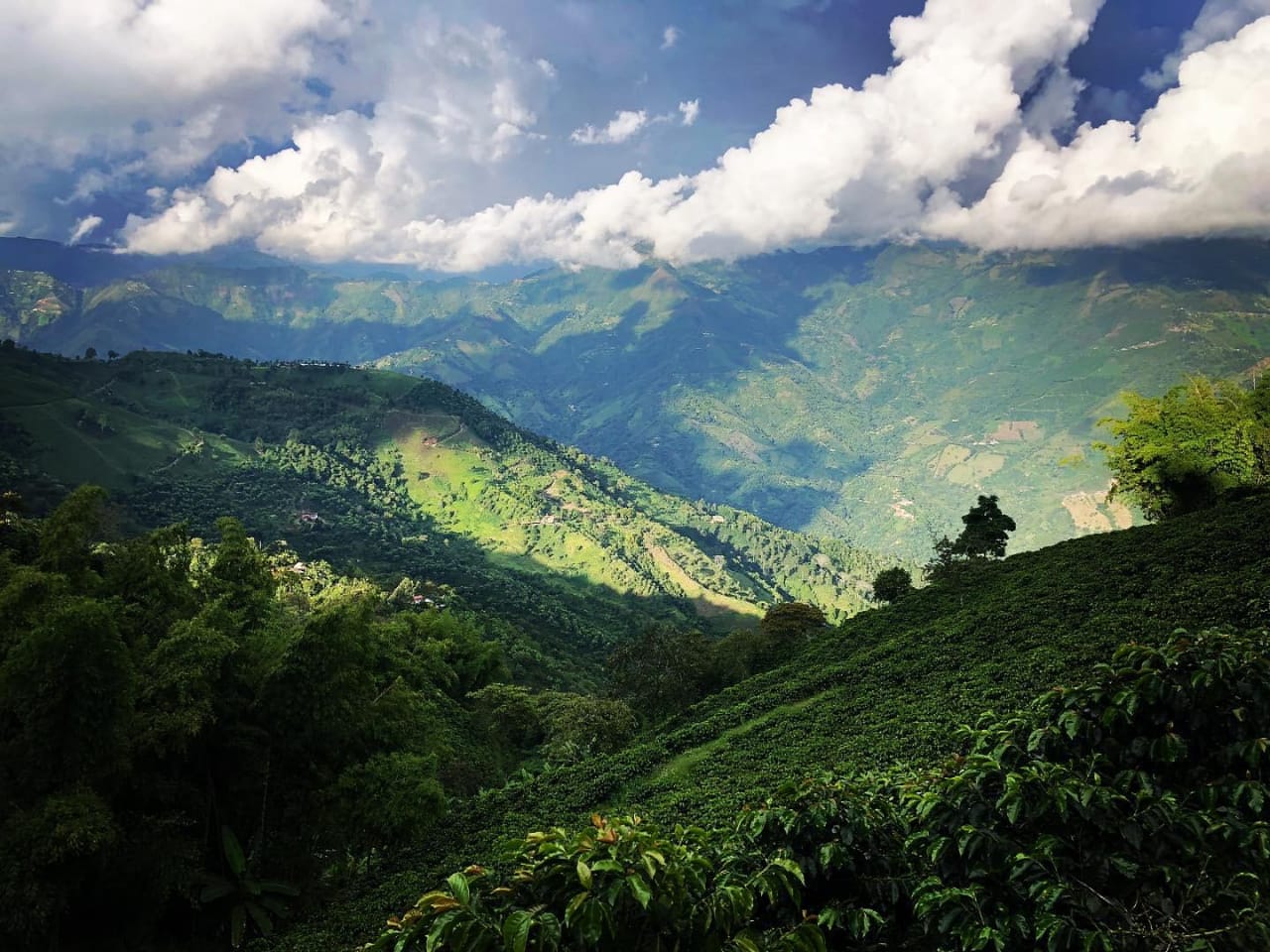 Tours y recorridos en Medellín y en finca cafetera Santa Bárbara Antioquia