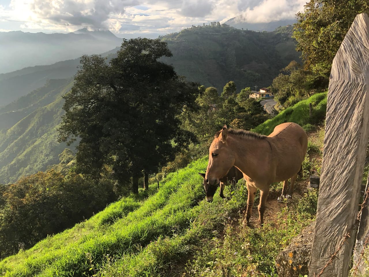 ¿Qué hacer en Medellín y Antioquia? Los mejores tours y planes los encuentras en Visit Medellín 2021