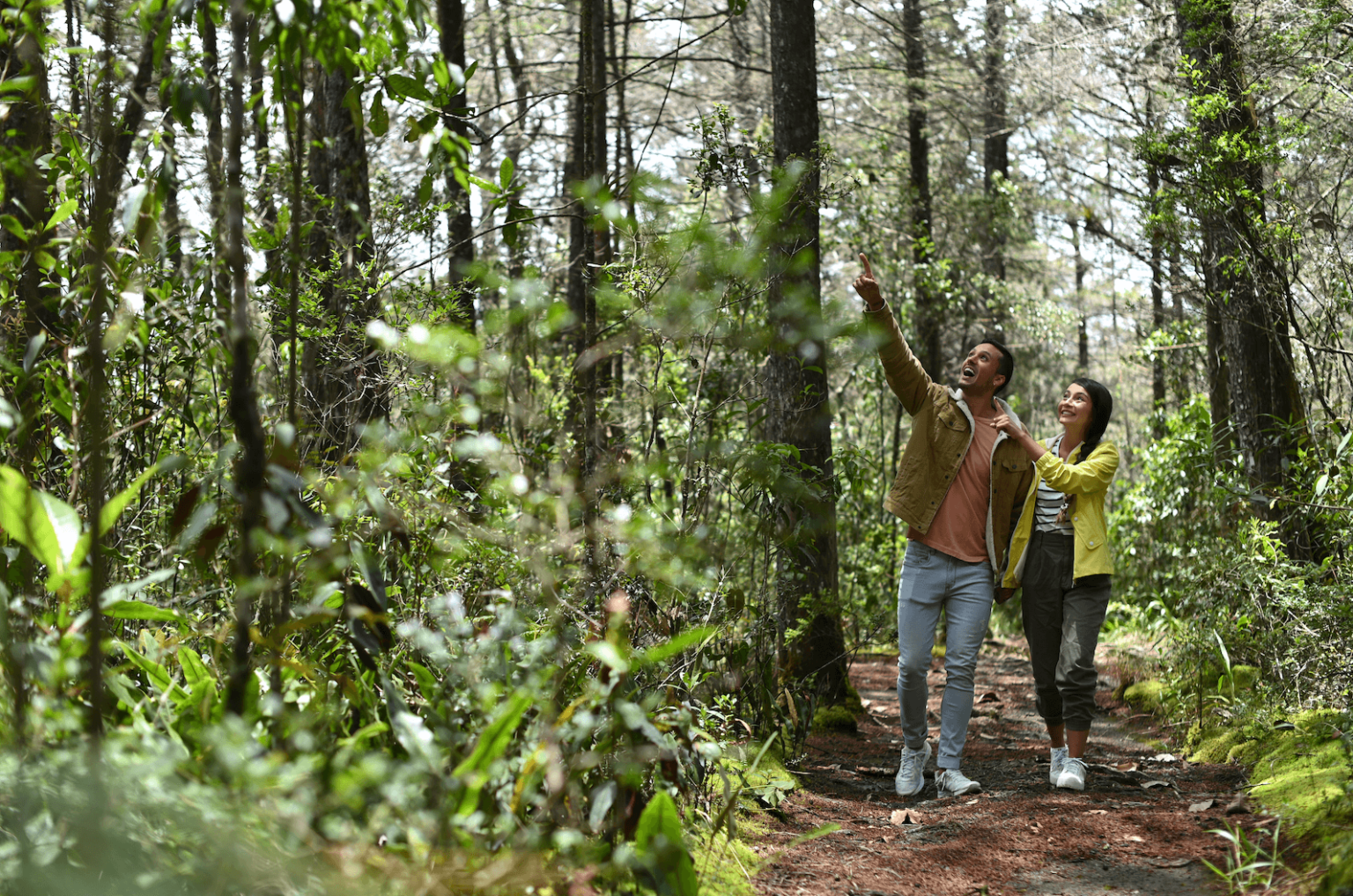 Tours y recorridos en Medellín y el Parque Arví