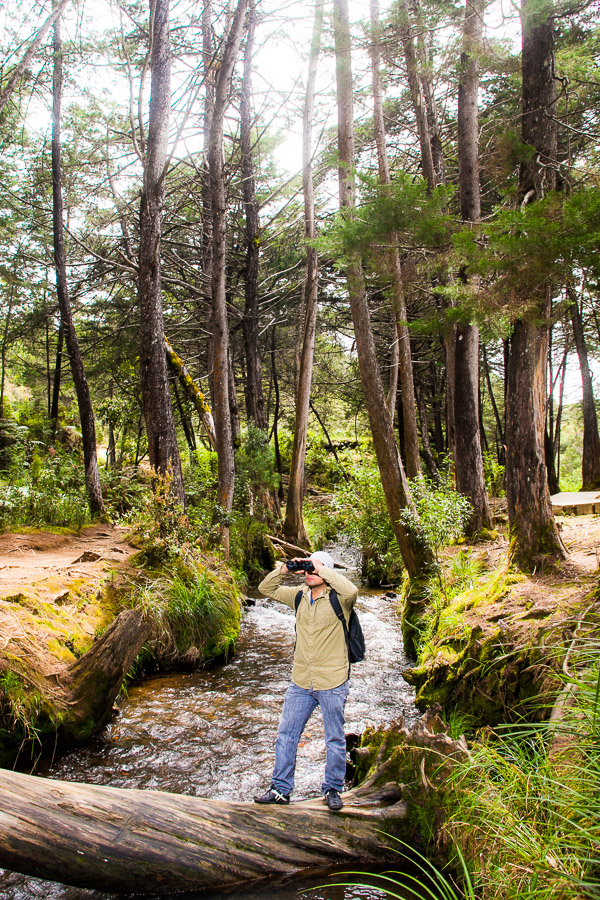 Lugares en Medellín para desconectarse y disfrutar de la naturaleza